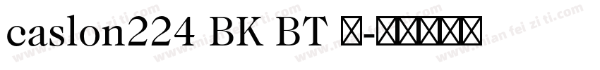 caslon224 BK BT 粗字体转换